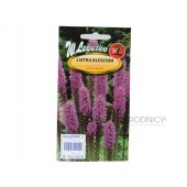 Liatra kłosowa (różowo-fioletowa) (Liatris spicata) - 0,2 g