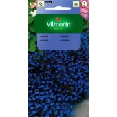 Lobelia, Stroiczka (niebieska) (Lobelia erinus comp. nana) - 500 mg