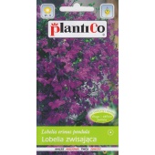 Lobelia zwisająca (niebieskofioletowa) (Lobelia erinus var. pendula) - 0,1 g