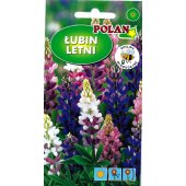 Łubin letni (Lupinus hartwegii) - 5 g