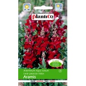 Lwia paszcza karłowa ARAMIS (Antirrhinum majus nanum) - 0,5 g