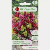 Lwia paszcza o pędach zwisających (Antirrhinum majus pendula) - 0,01 g