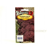 Macierzanka piaskowa (Thymus serpyllum) - 0,1 g 