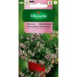 Macierzanka (Thymus) - 0,5 g
