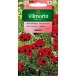 Mak biedronkowy LADYBIRD (Papaver commutatum Fisch) - 400 mg