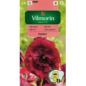 Mak polny PANDORA (Papaver rhoeas) - 0,1 g