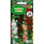 Malwa pełna CHATERS, Prawoślaz (mieszanka) (Altheae rosea) - 1 g