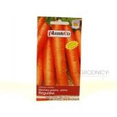 Marchew późna REGULSKA (Daucus carota) - 5 g