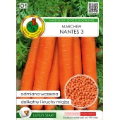 Marchew średniowczesna NANTES 3 otoczkowana (Daucus carota) - 300 nasion