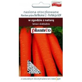 Marchew późna BERLIKUMER 2 PERFEKCJA otoczkowana (Daucus carota) - 350 nasion