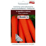 Marchew późna BERLIKUMER 2 PERFEKCJA otoczkowana (Daucus carota) - 350 nasion