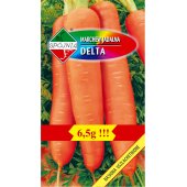 Marchew późna DELTA (Daucus carota) - 6,5 g