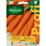 Marchew późna ESKIMO (Daucus carota) - 2 g