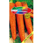 Marchew późna FLAMANKA (Daucus carota) - 5 g