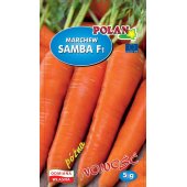 Marchew późna SAMBA F1 (Daucus carota) - 5 g