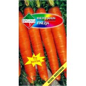 Marchew późna typ karotka FINEZJA (Daucus carota) - 5 g