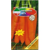 Marchew średniopóźna ALFA mieszaniec F1 (Daucus carota) - 4 g 