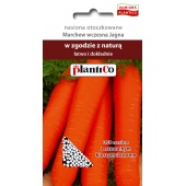 Marchew wczesna JAGNA otoczkowana (Daucus carota) - 350 nasion