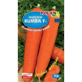 Marchew wczesna RUMBA F1 (Daucus carota) - 3 g