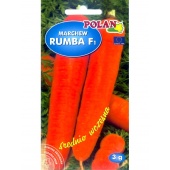 Marchew wczesna RUMBA F1 (Daucus carota) - 3 g