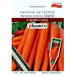 Marchew wczesna typ karotka JAGNA (Daucus carota) - taśma 5 m 