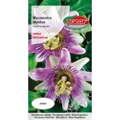 Męczennica błękitna, Passiflora (Passiflora coerulea) - 0,2 g