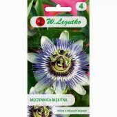 Męczennica błękitna, Passiflora (Passiflora coerulea) - 0,2 g