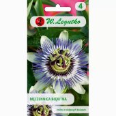 Męczennica błękitna, Passiflora (Passiflora coerulea) - 0,2 g0