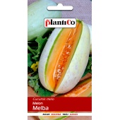 Melon MELBA (Cucumis melo) - 1 g