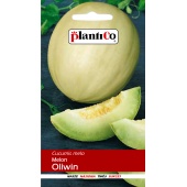Melon OLIWIN (Cucumis melo) - 1 g