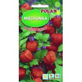 Miechunka (Physalis alkekengi) - 0,5 g