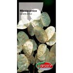 Miesięcznica (Lunaria annua) - 2 g