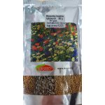 Mieszanka kwiatów łąkowych - 50 g
