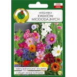 Mieszanka kwiatów miododajnych - 20 g