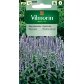 Mięta meksykańska - miododajna (Agastache mexicana) - 0,1 g