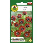 Miłek letni czerwony (Adonis aestivalis) - 1 g