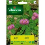 Mimoza (Mimosa pudica) - 800 mg