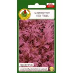 MIZUNA Japońska musztardardowiec RED FRILIS - Japońskie zioło (Brassica rapa var.japonica) - 0,5 g