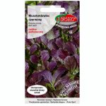 Musztardowiec czerwony, mizuna (Brassica juncea Rad Giant) - 1 g