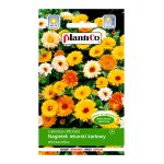 Nagietek lekarski karłowy (mieszanka) (Calendula officinalis) - 2 g