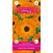 Nagietek lekarski (pomarańczowy) (Celendula officinalis) - 1 g