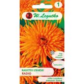 Nagietek lekarski RADIO (Calendula officinalis) - 2 g