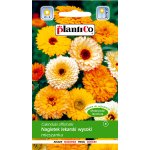 Nagietek lekarski wysoki (mieszanka) (Calendula officinalis) - 2 g