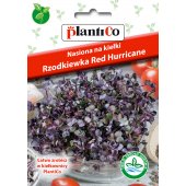 Nasiona na kiełki - RZODKIEWKA CZERWONA - 10 g