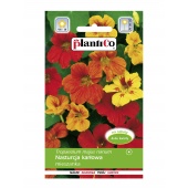 Nasturcja karłowa (mieszanka) (Tropaeolum majus nanum) - 5 g