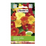 Nasturcja pnąca (mieszanka) (Tropaeolum majus) - 5 g 