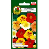 Nasturcja pnąca (mieszanka) (Tropaeolum majus) - 6 g 