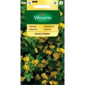 Nasturcja wysoka CANARY CREEPER (Tropaeolum majus) - 2 g