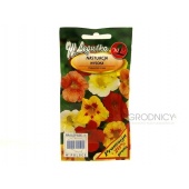Nasturcja wysoka pnąca (Tropaeolum majus max.) - 6 g