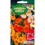 Nemezja, Jawnostka (mieszanka) (Nemesia strumosa) - 1 g